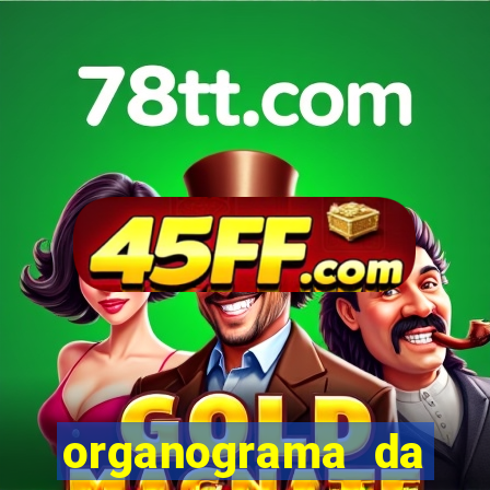 organograma da cacau show